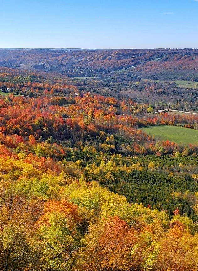 View of the Beaver Valley from the Niagara Escarpment brow on the Talisman lands purchased by the BTC (Photo courtesy of Escarpment Corridor Alliance)